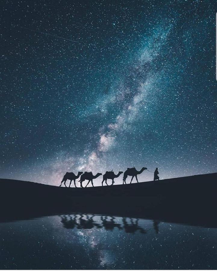 Sahara Family Camp Мерцуга Екстериор снимка